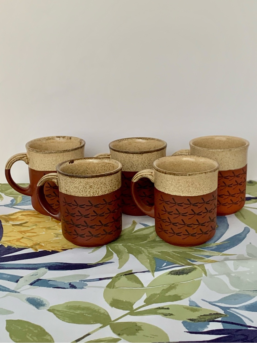 Vintage Pottery Mugs Terracotta Painted Dragonflies Kiln Craft Set of 5 Brown